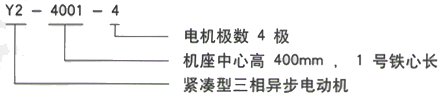 YR系列(H355-1000)高压YR4002-4三相异步电机西安西玛电机型号说明